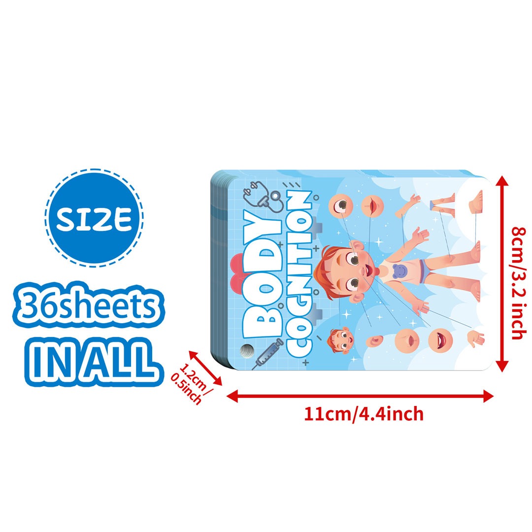Body Cognition Flash Card - Image 4